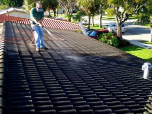 Roof Cleaning