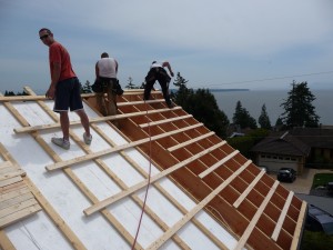 Insulation & Roofing