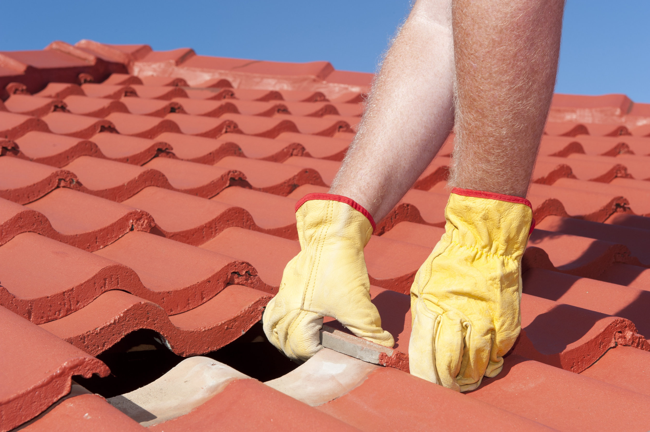 Roof maintenance